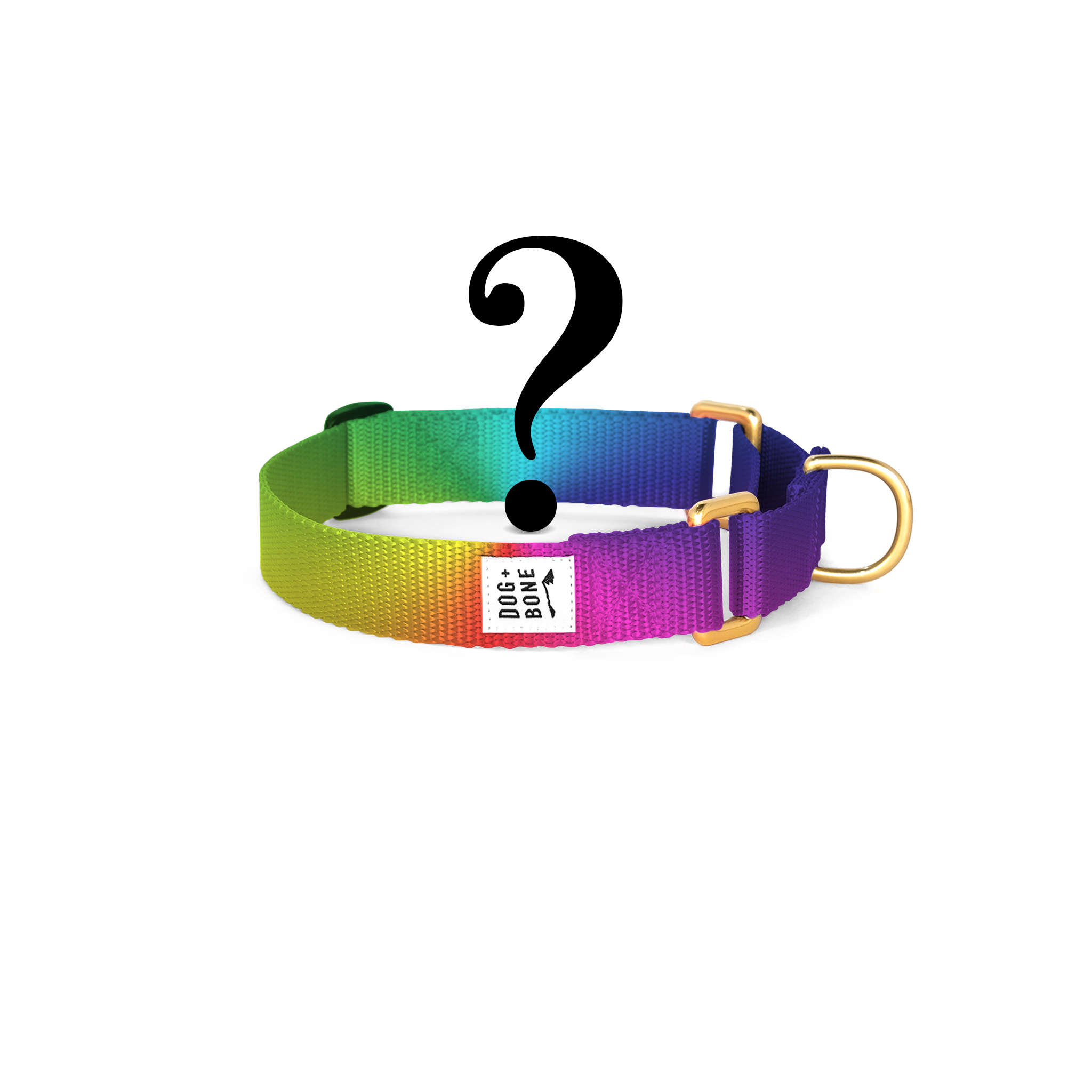 Cat sales collars martingale