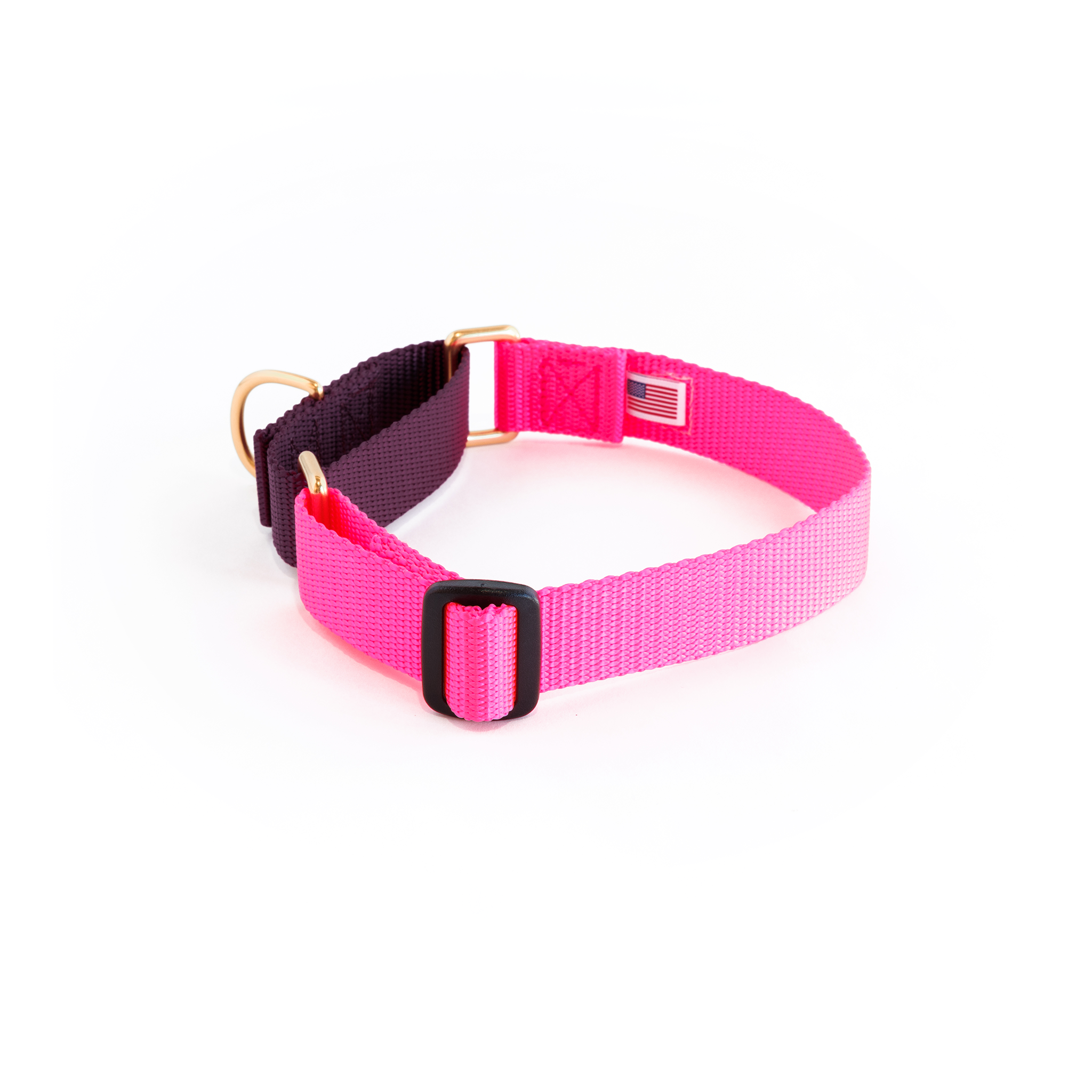 Martingale Collar: Hot Pink & Purple