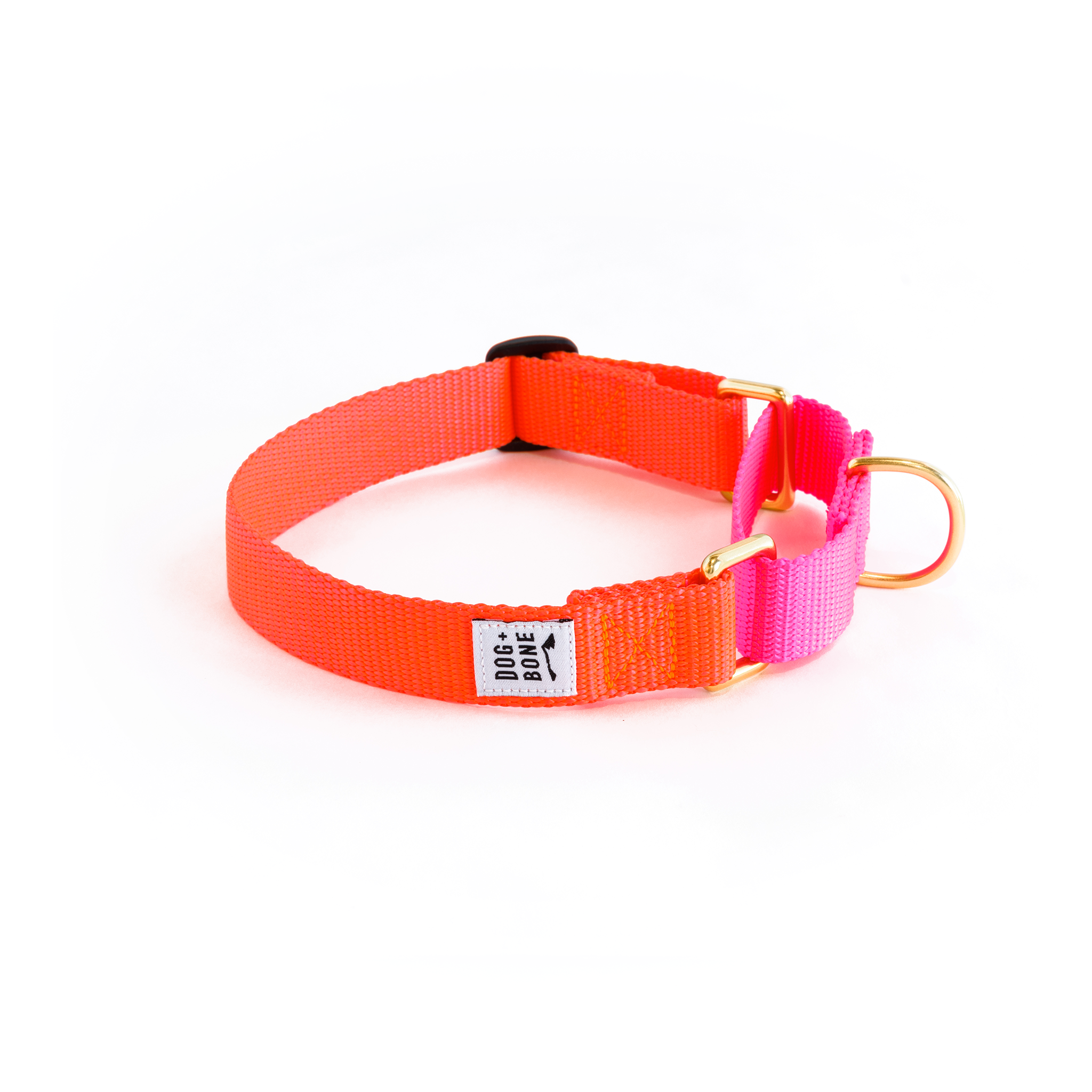 Martingale Collar: Lava & Hot Pink