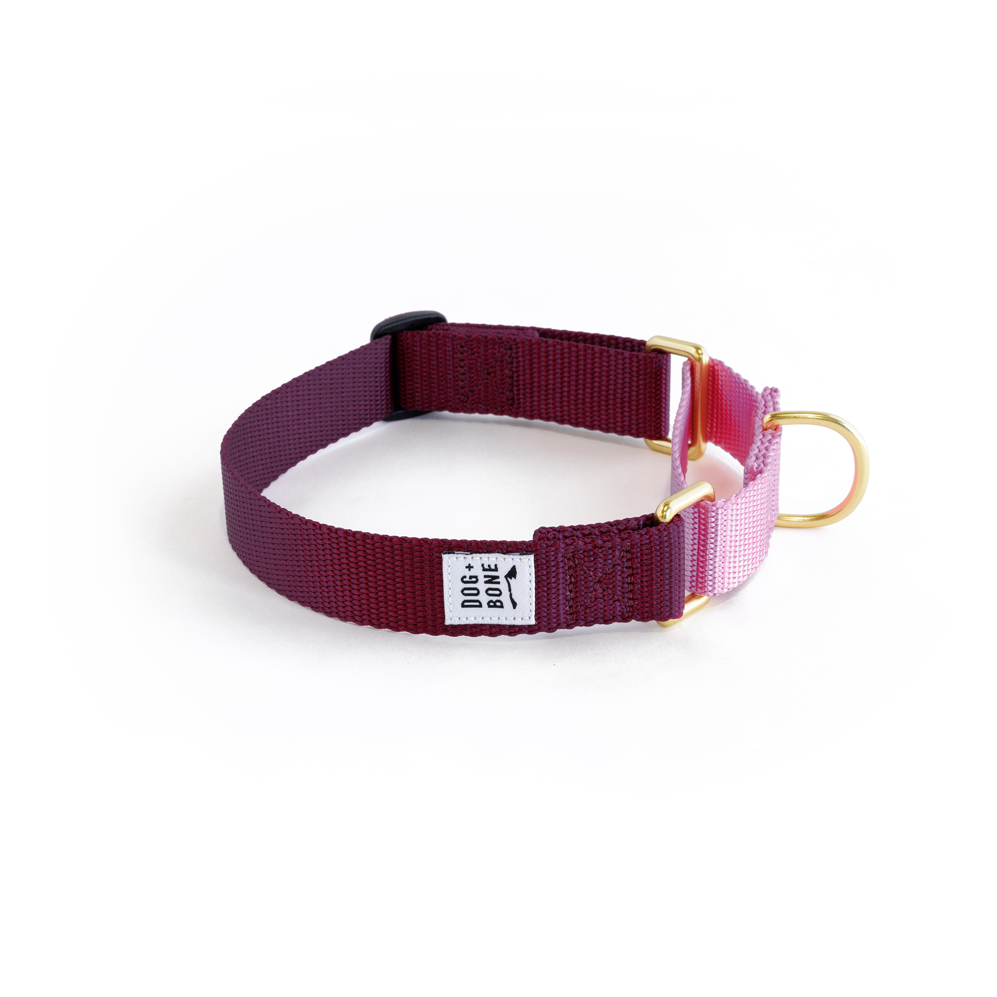 Martingale Collar: Purple & Orchid