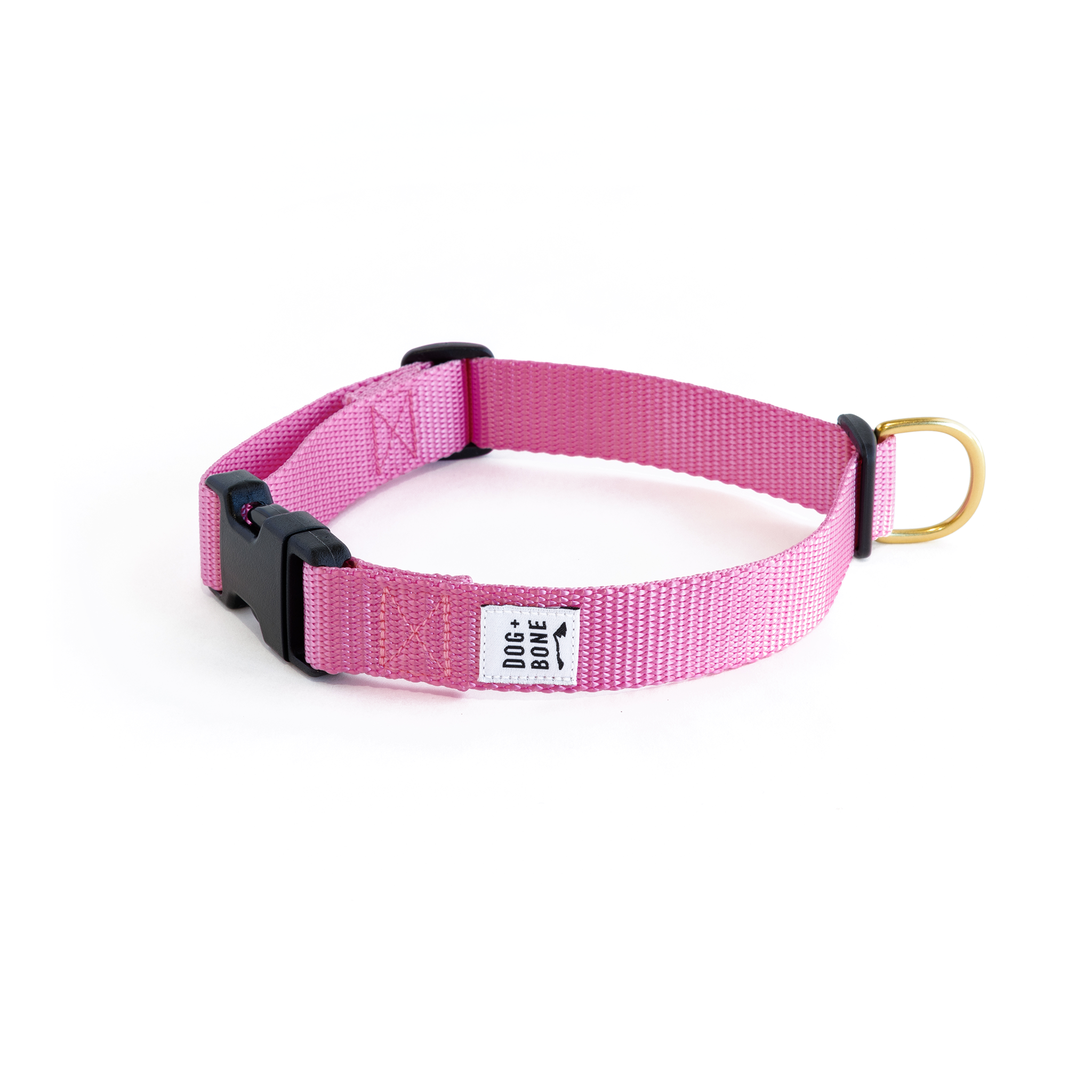 Snap Collar: Orchid