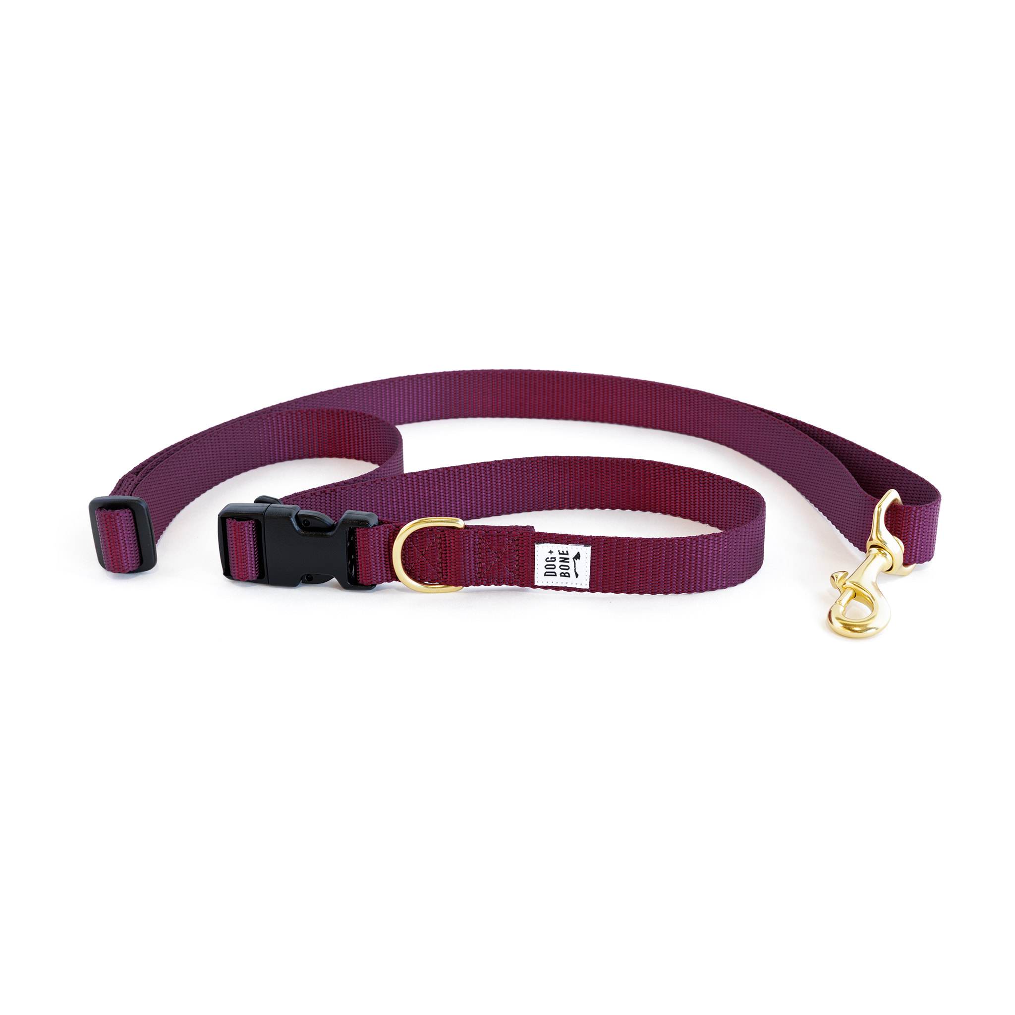 Adjustable Leash: Purple