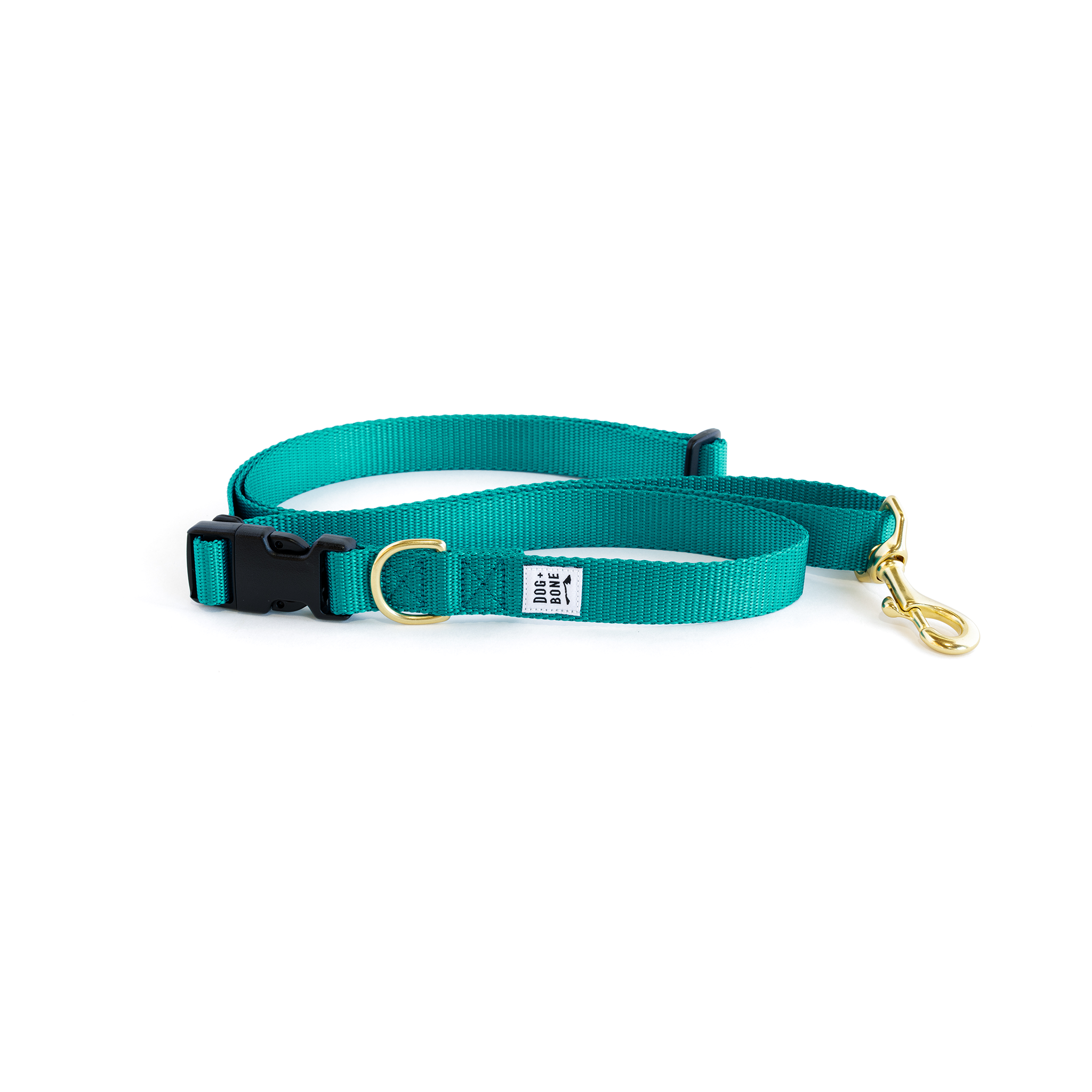 Adjustable Leash: Teal