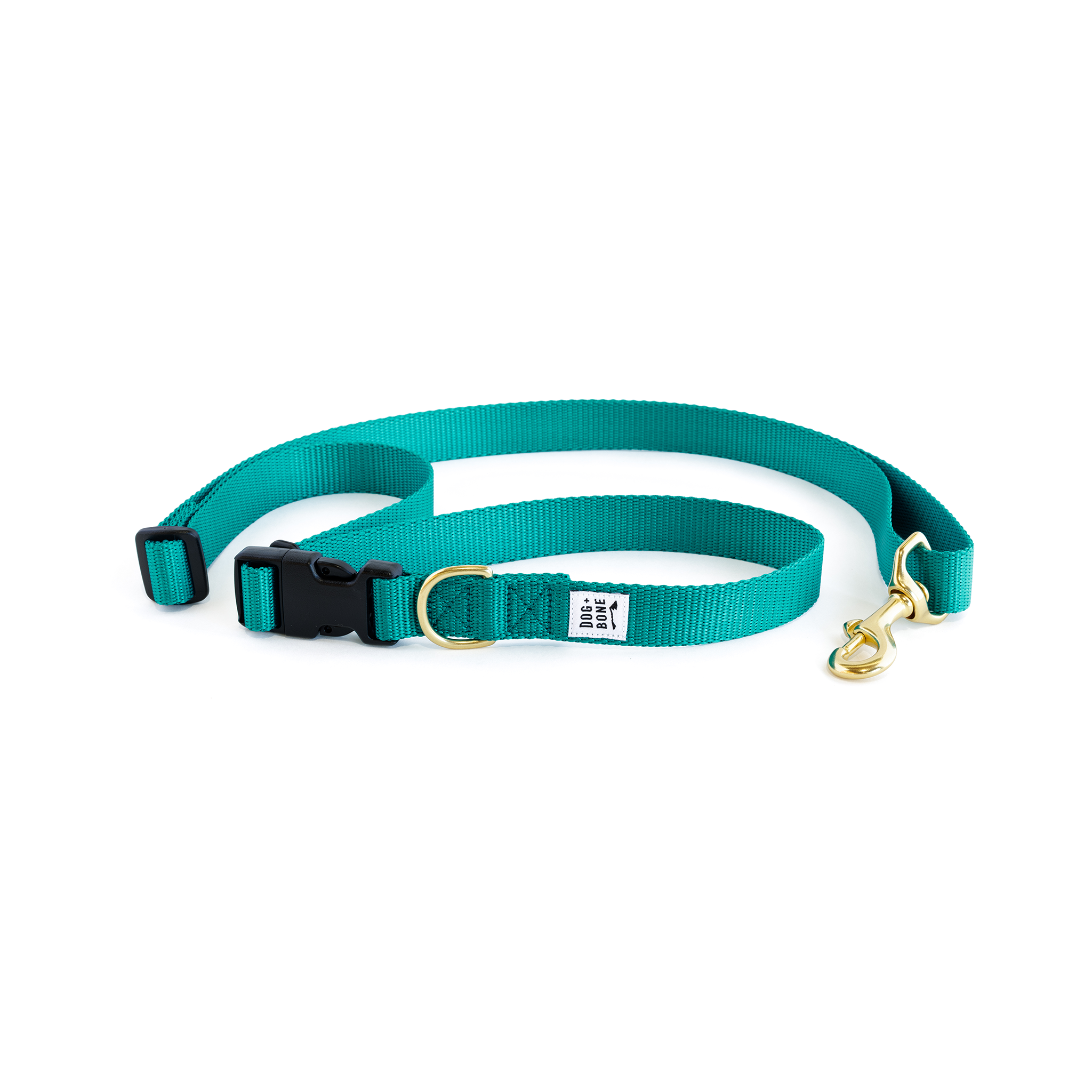 Adjustable Leash: Teal