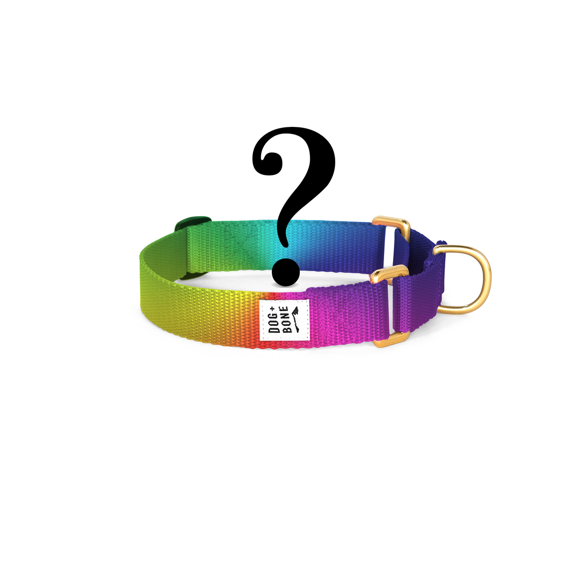Custom martingale dog collar cheap