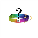 Martingale Collar: Custom Color
