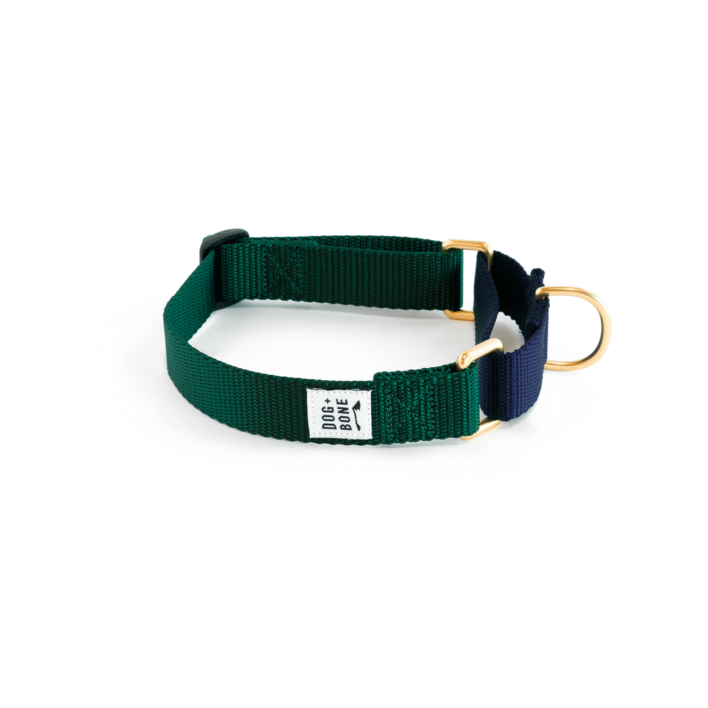 Green martingale dog collar sales