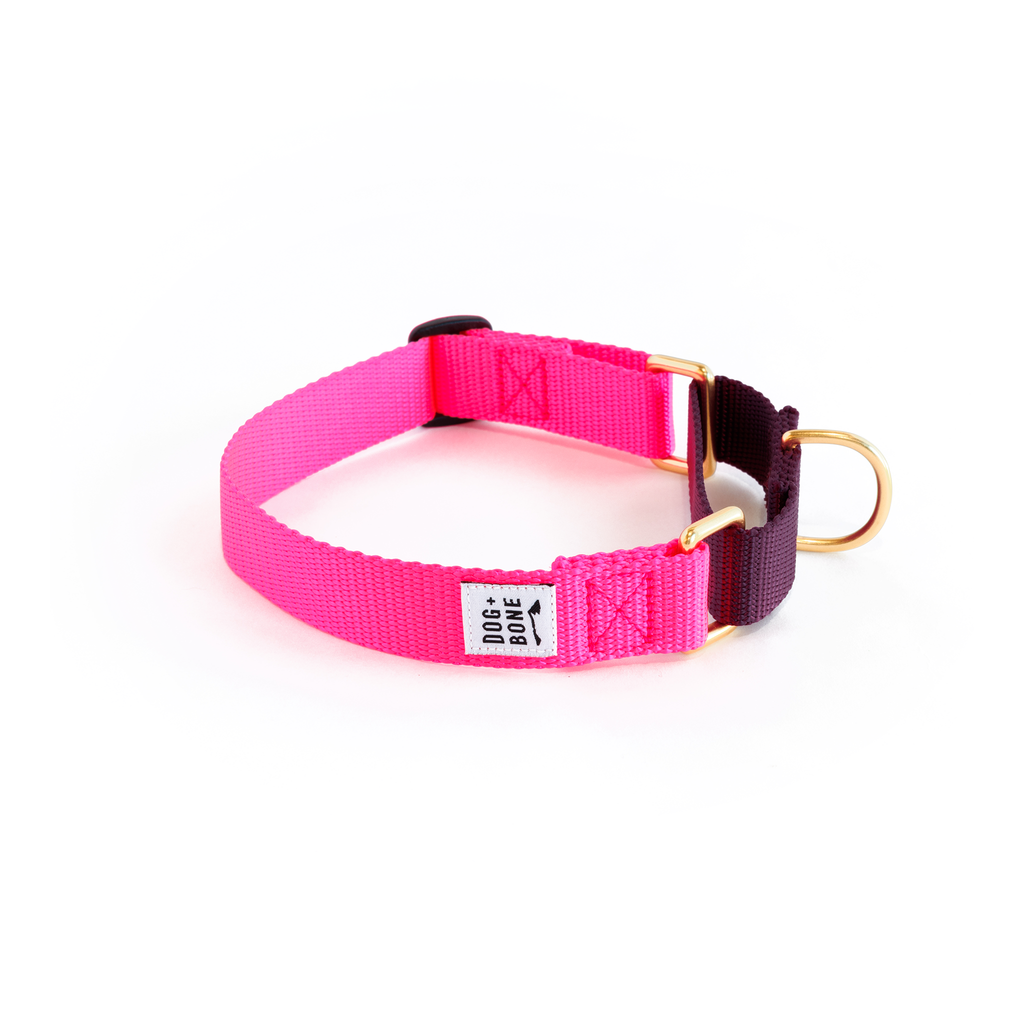 Pink martingale dog collar best sale