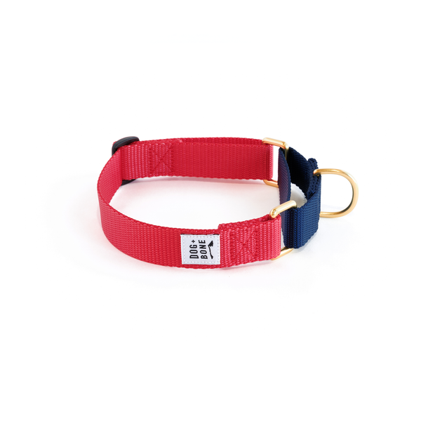 Martingale Collar: Punch & Navy