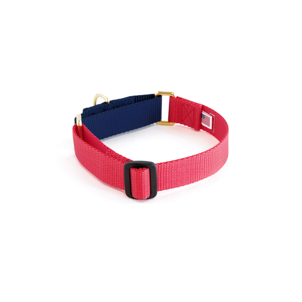 Martingale Collar: Punch & Navy