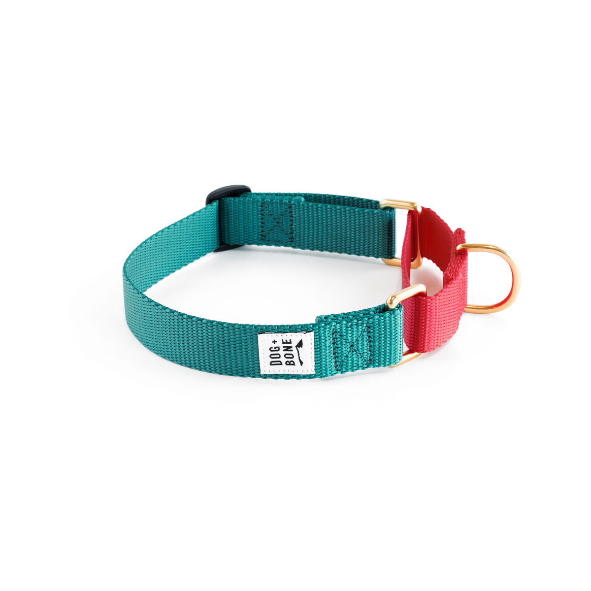 Dog plus bone collars hot sale