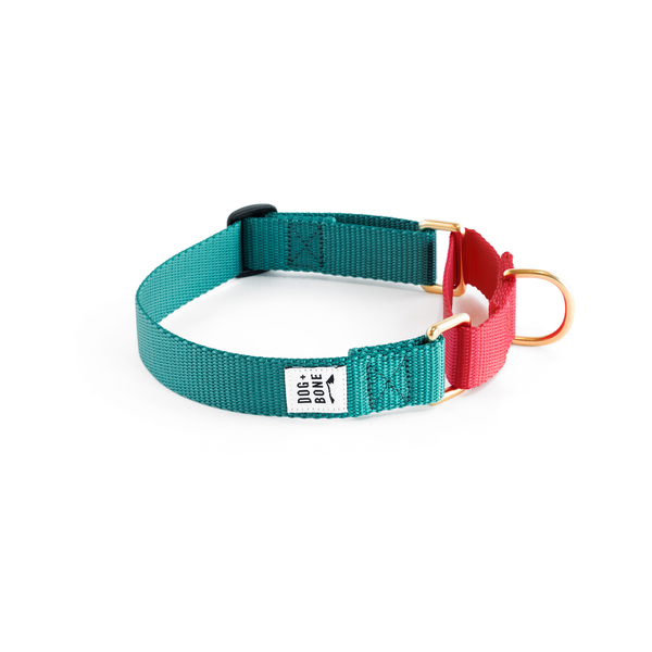 Martingale Collar: Teal & Punch