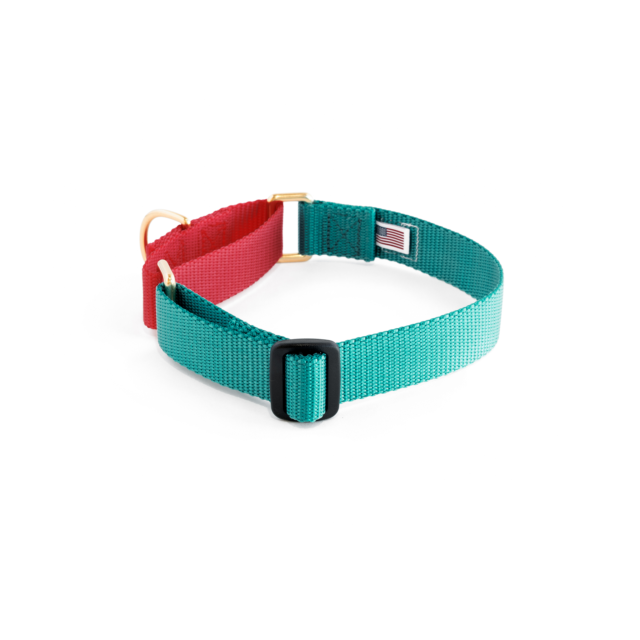 Teal martingale dog collar best sale