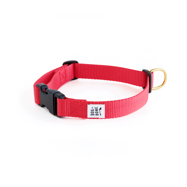 Snap Collar: Punch
