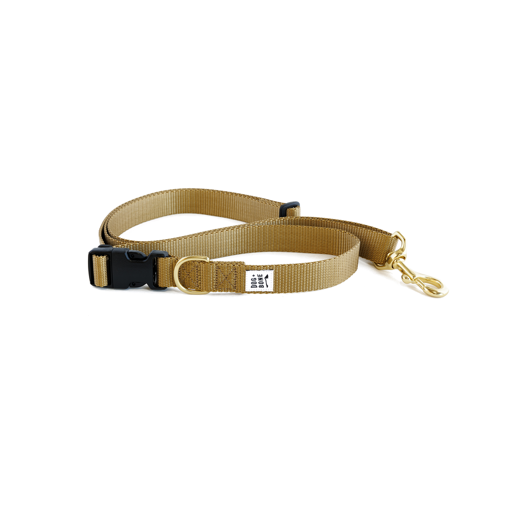 Adjustable Leash Gold