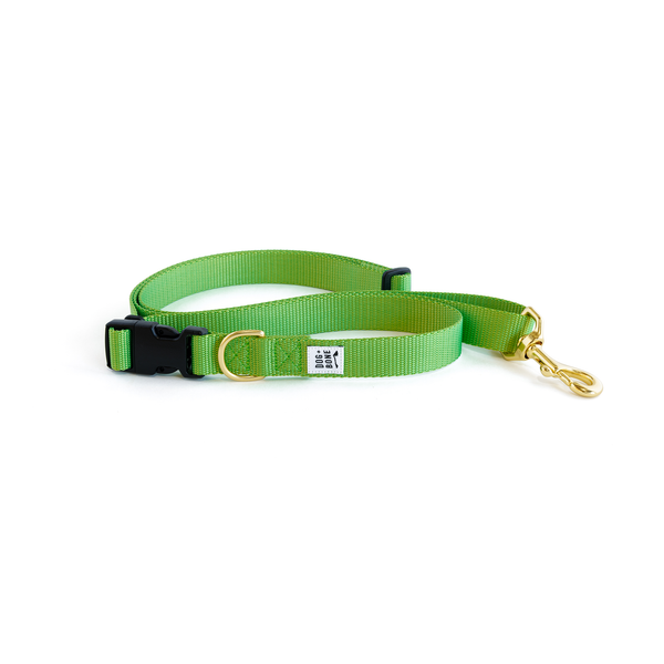 Adjustable Leash: Greenery