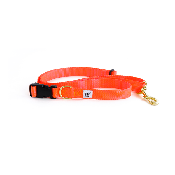 Adjustable Leash: Lava