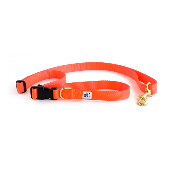 Adjustable Leash: Lava